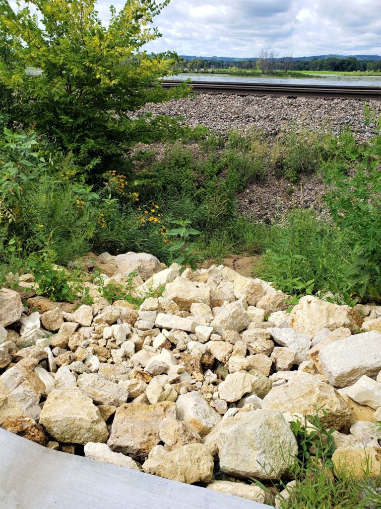 collecting water runoff from road