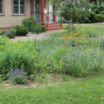 house with a rain garden in front yard