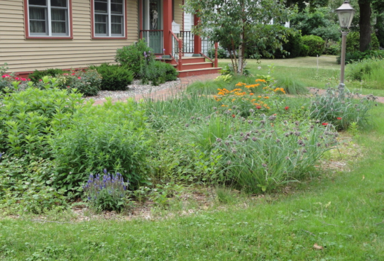 house with a rain garden in front yard