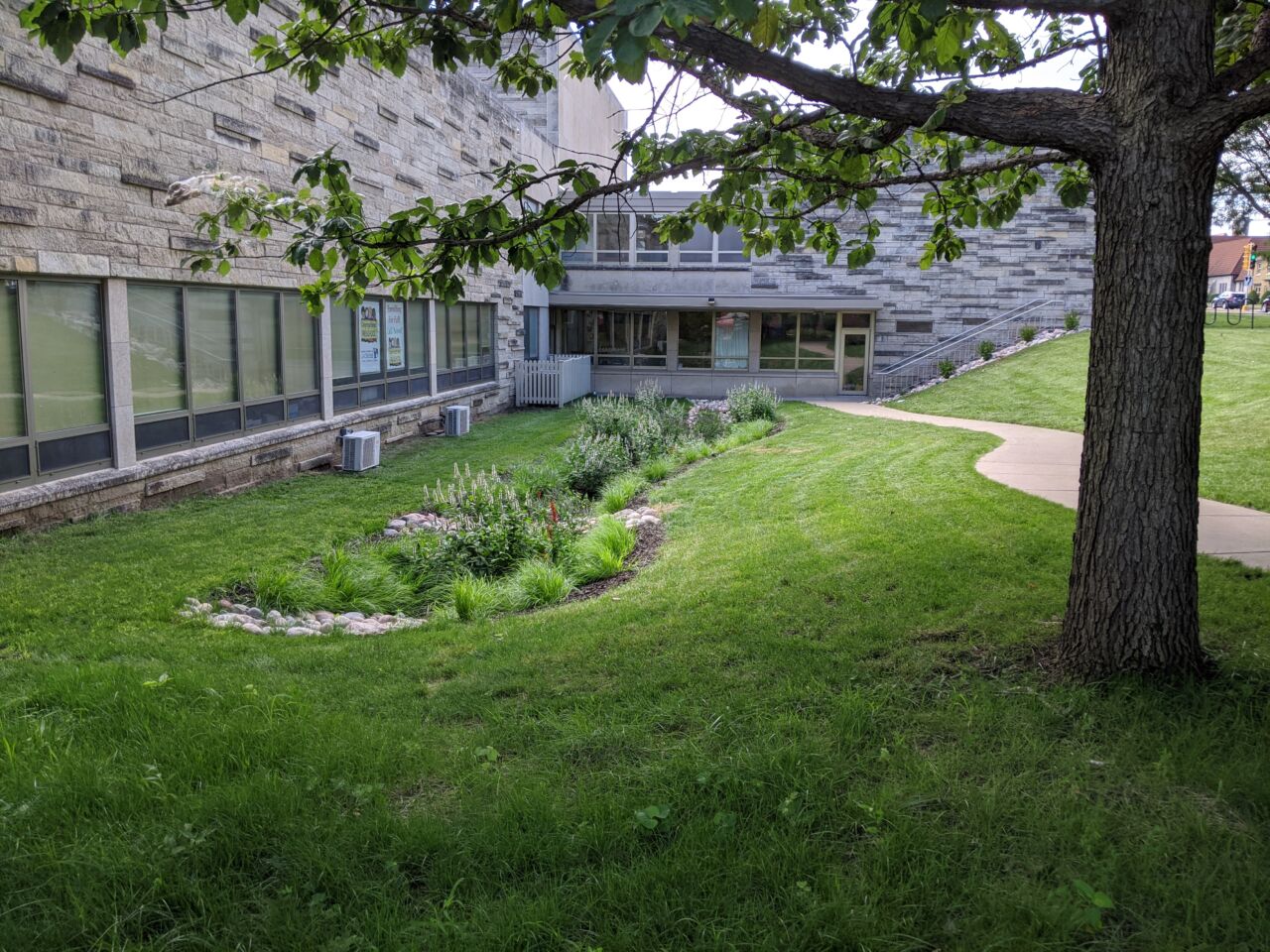 water run-off area with plants