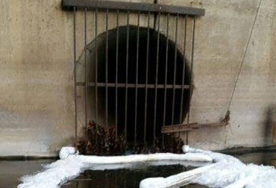 sewer drain