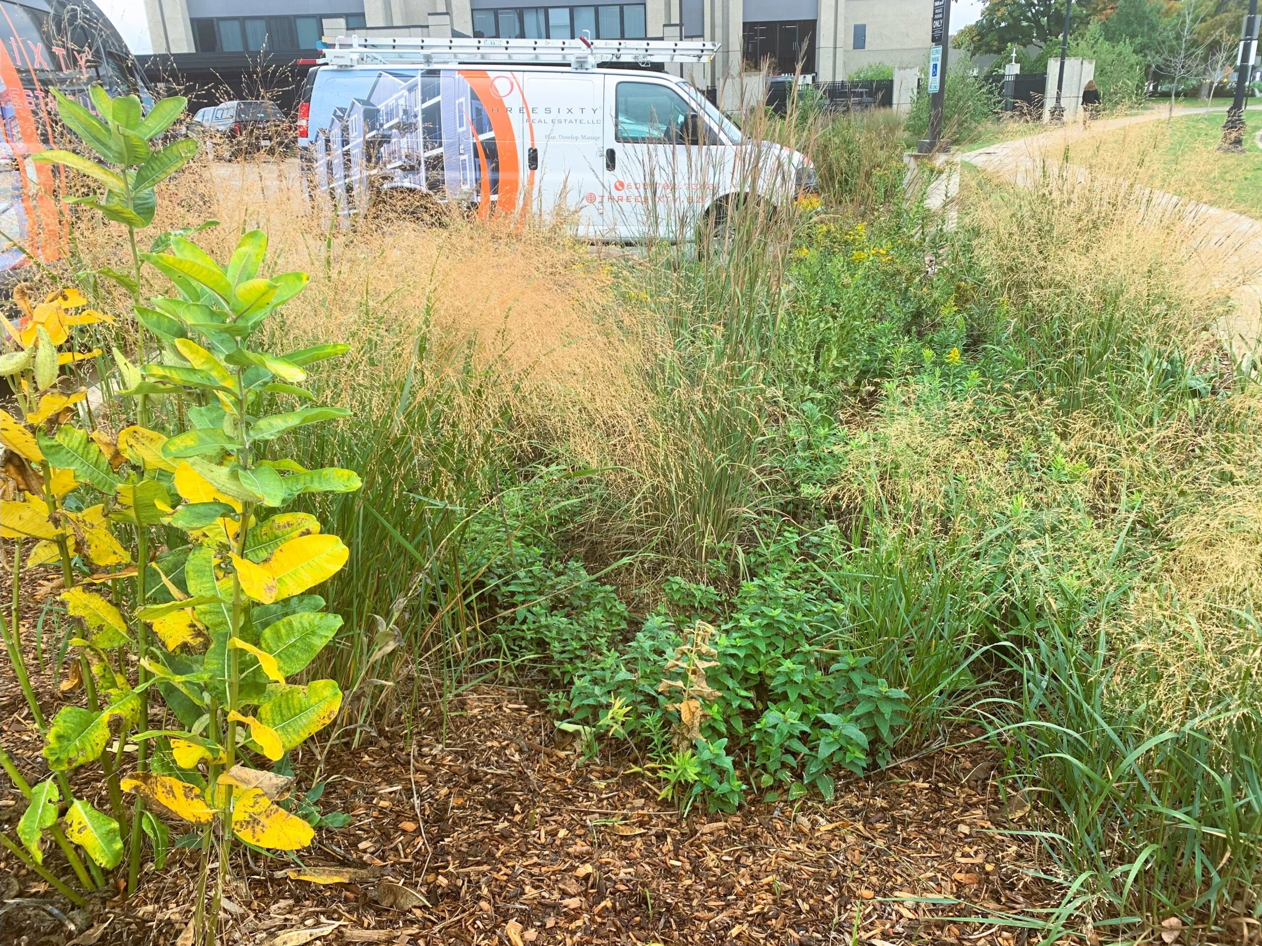 Using green infrastructure allows this property to naturally soak up, and filter polluted runoff.