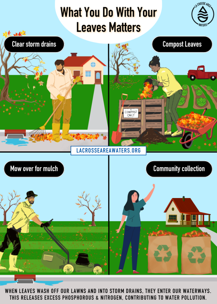 What You Do With Your Leaves Matters PDF