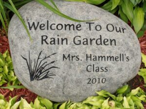 rain garden engraved in large rock