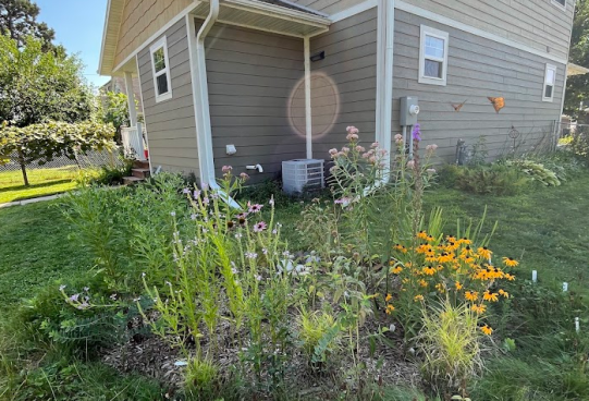 Screenshot 2025-09-09 113126 The official rain garden that was nominated and that soaks up roof runoff!